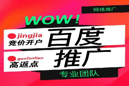 百度网络推广实战技巧：案例解析，让广告投放更精准